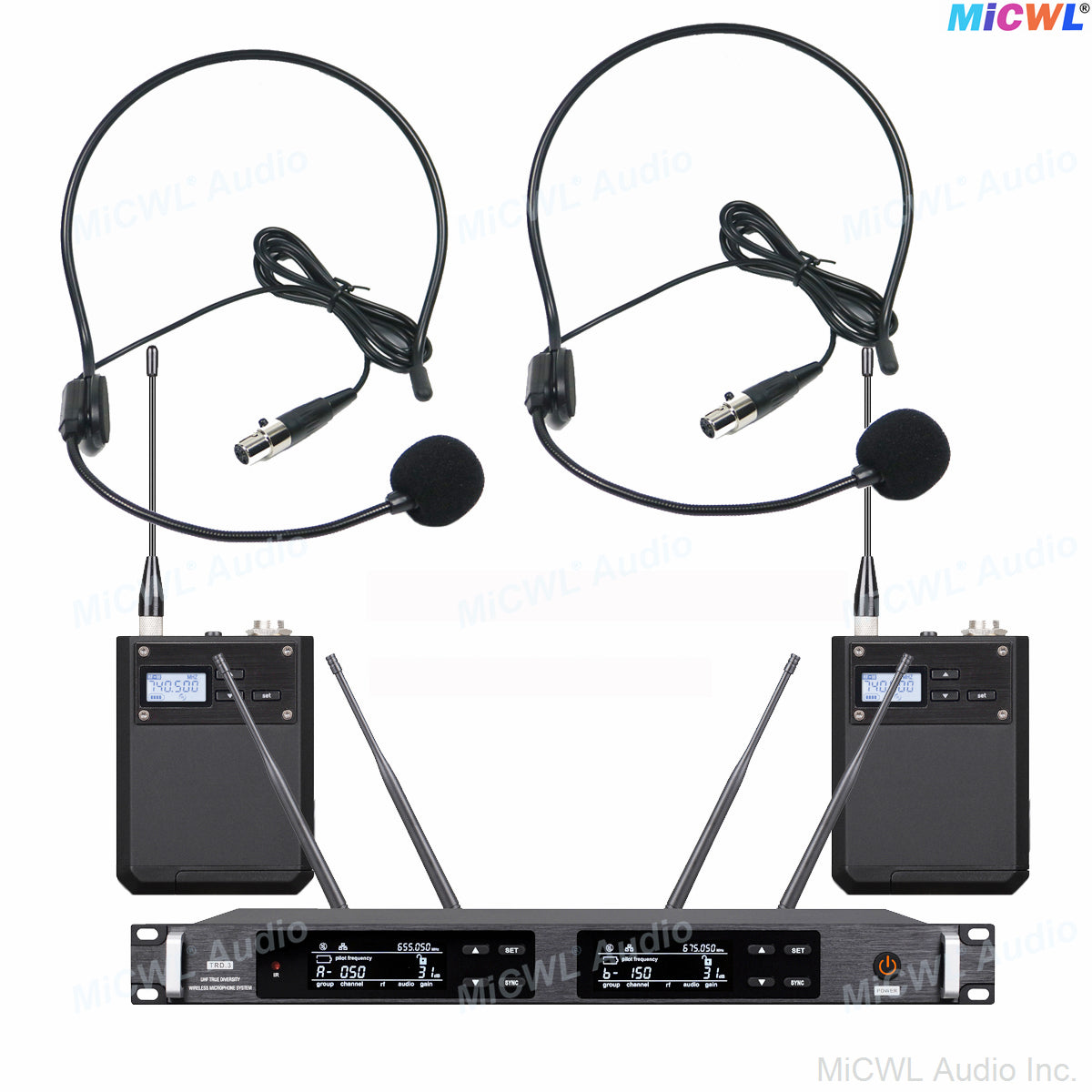 ULXD4D 2-Channel Digital Wireless Microphone System with 2 KSM9 Mics Kits