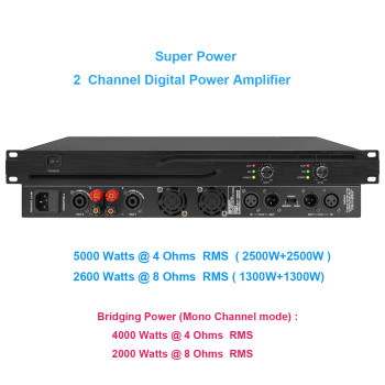 5000Watt Professional Digital Amplifier 2 Channel High-Power Amplifier for Bar Stage Outdoor Activity Stereo MiCWL CA1300