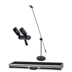 MiCWL C30 Professional Dual-Microphone Pole Standing Condenser Capacitor Super Cardioid Microphone For Stage Concert Lecture Flight Case