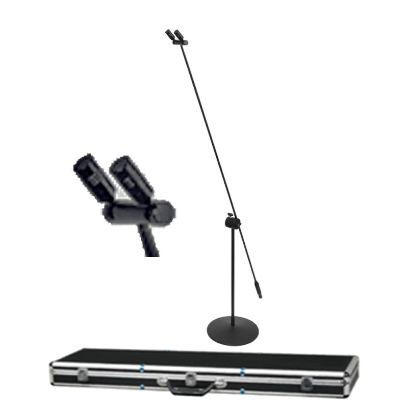 MiCWL C30 Professional Dual-Microphone Pole Standing Condenser Capacitor Super Cardioid Microphone For Stage Concert Lecture Flight Case MiCWL C30 Professional Dual-Microphone Pole Standing Condenser Capacitor Super Cardioid Microphone For Stage Concert Lecture Flight Case